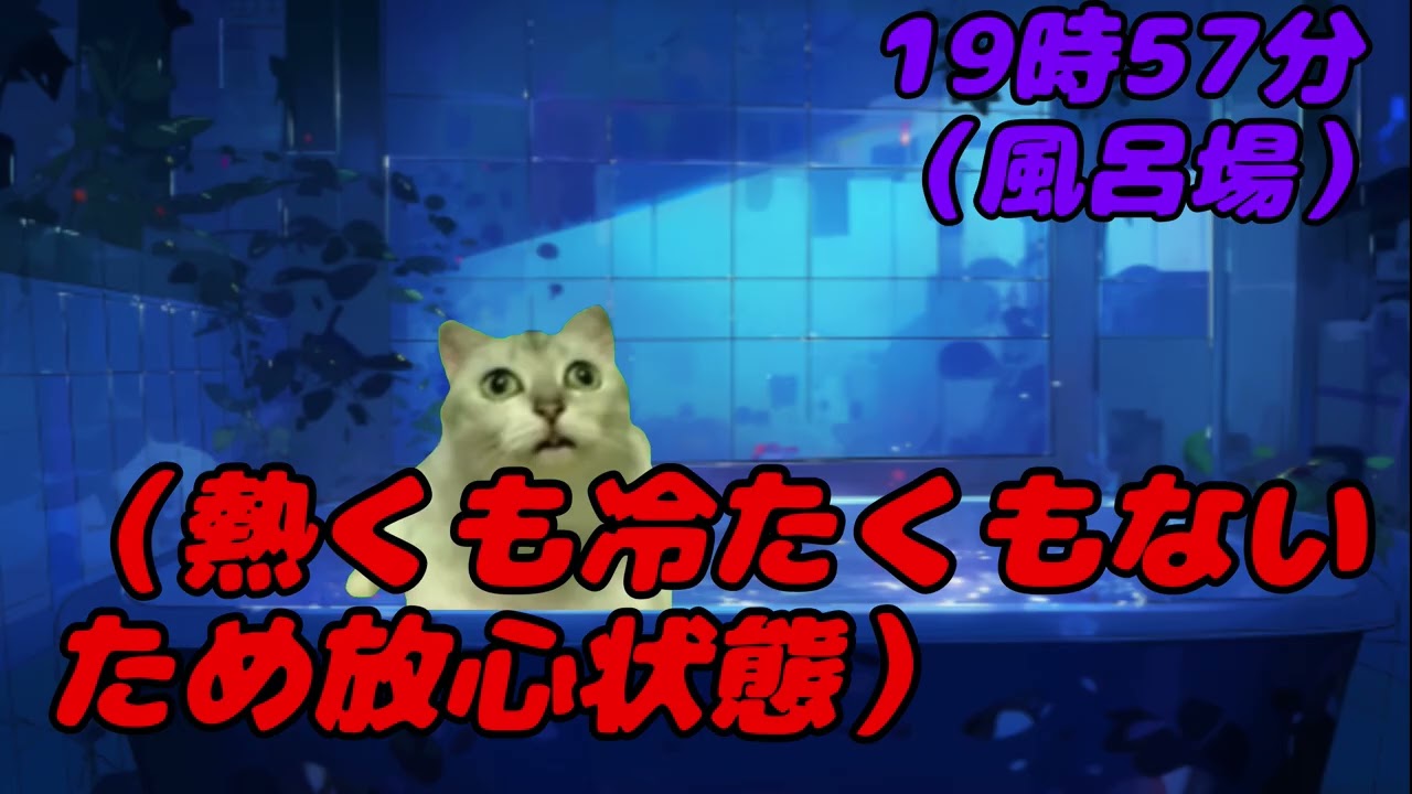 初の猫ミームだお（この動画は、まだ編集をしているころの俺という設定です。）#猫ミーム