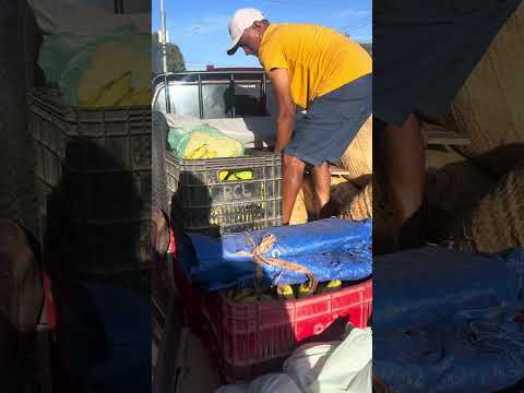 Mercadinho do Zé preto de amontada Ceará fazendo compras no atacadao das frutas Itapipoca Ceará