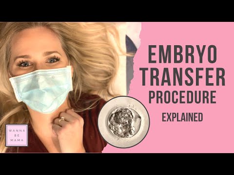 Embryo Transfer Procedure explained