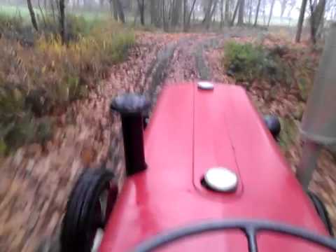 Bosritje door de Chaamse bossen