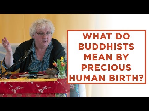 What do Buddhists mean by 'precious human birth'?