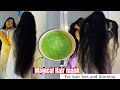 මගේ කොණ්ඩය වවපූ Magical Hair Mask එක Home Solutions For Hair Loss And 