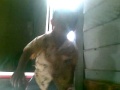 Abg Bugil
