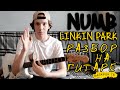 Разбор Numb - Linkin Park на гитаре на русском // Numb ...