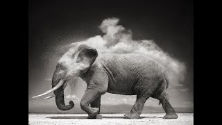 Download lagu Monco Prod - Passacaglia (Remix) mp3