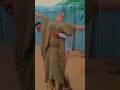 Somali Funny Niiko Comedy Learnsomali Somalida Duet Somalijobs Cusub Dance