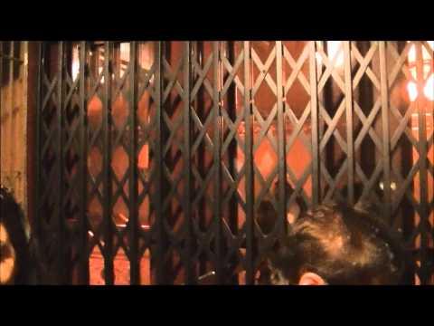 AMAZING 1913 Otis-Fensom Traction Elevators @ Elgin & Winter Garden Theatre Centre, Toronto ON
