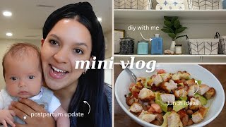 MINI VLOG | Errands, Organizing, & More!