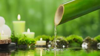Música relajante + Sonidos de agua calmantes 🌿 Alivia el estrés y la ansiedad, mente y cuerpo😴