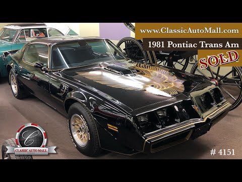 1981 Pontiac Firebird Trans Am (CC-1618849) for sale in Morgantown, Pennsylvania