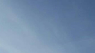うんち