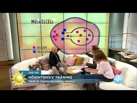 Därför är högintensiv träning effektivt - Nyhetsmorgon (TV4)
