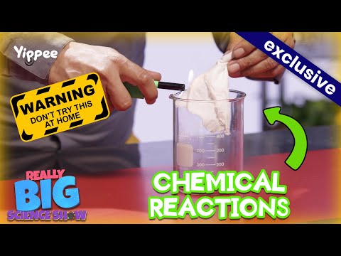 Thumbnail: hand lighting a beaker with a lighter, warning label, and an 'EXCLUSIVE' banner with bold 'CHEMICAL REACTIONS' text.