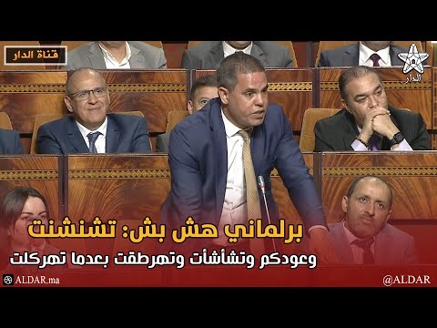 برلماني هش بش: تشنشنت وعودكم وتشأشأت وتهرطقت بعدما تهركلت