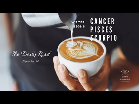 Focus on the future, WATER Sign (Cancer, Pisces, Scorpio) September 24