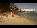 New Hollywood Family Kids Movie Hindi Dubbed Full Movie New Released Movie 720P HD