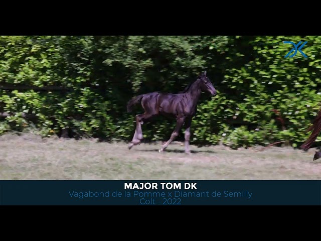 24 Major Tom DK