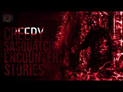 TERROR IN THE MOUNTAINS - SCARY BIGFOOT SIGHTING STORIES