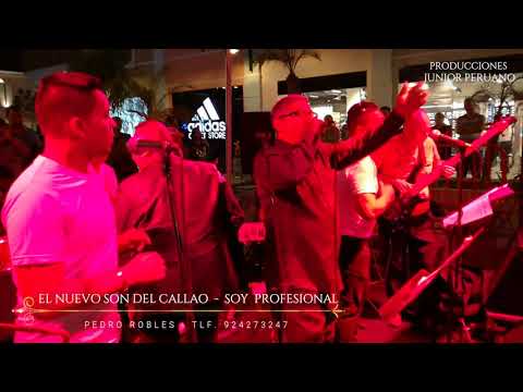 EL NUEVO SON DEL CALLAO - SOY PROFESIONAL