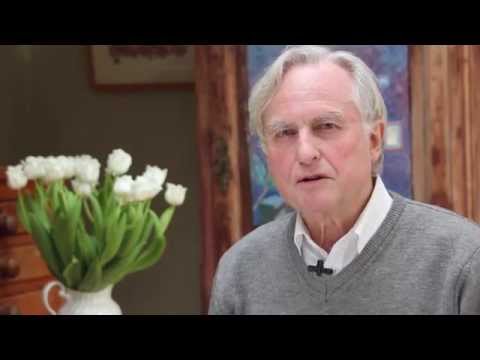 Darwin Day Questions: Is Evolution a Fact?