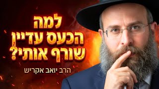 למה אני לא מצליח לסלוח? הסיבה האמיתית (והפתרון המפתיע) | פרשת וארא (הרב יואב אקריש) - התמונה מוצגת ישירות מתוך אתר האינטרנט יוטיוב. זכויות היוצרים בתמונה שייכות ליוצרה. קישור קרדיט למקור התוכן נמצא בתוך דף הסרטון