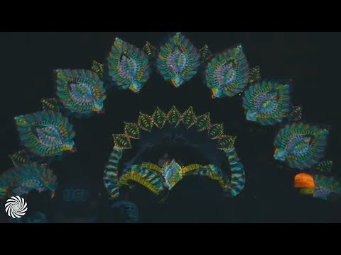 Ectogasmics & Obelisk live at High Paradise 2019, Brazil