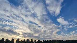 Rugpjūčio dangus ir spalvos 🤩👌⛅️ #lithuanialive #beautiful #nature #clouds #colors 