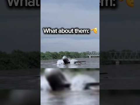 Garuda Indonesia 421 🫡 #aviation