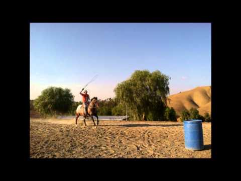 Federigo Fiorillo #28