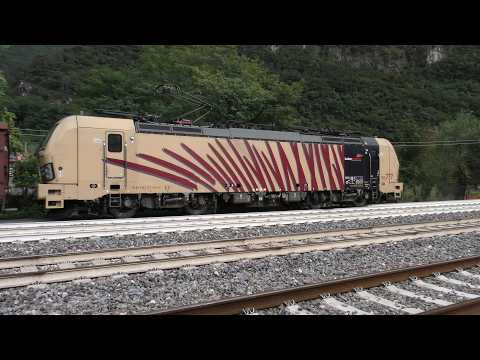 2025-09-29 Ferrovia del Brennero - Tre giorni di transiti estivi a Peri 16/17