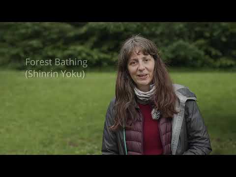 Play Video Youtube Video