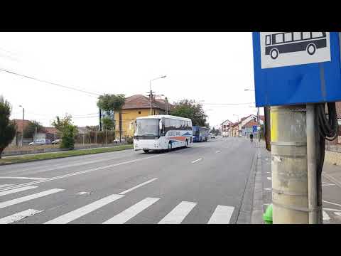 Temsa Safari si Setra S 319 UL din Oradea