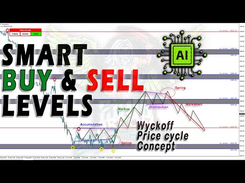 Video Smart Ai Levels