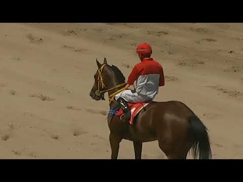 CARRERAS SINT PAYSANDU - 211111 c02 1° ROSA PEREZ