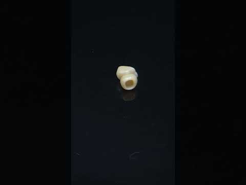 YouTube 썸네일