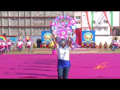 Video 1