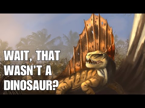 Dimetrodon: The Ancient Predator That Wasn't a Dinosaur - Prehistoric Animals