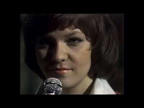 Family Four härliga sommardag 1972