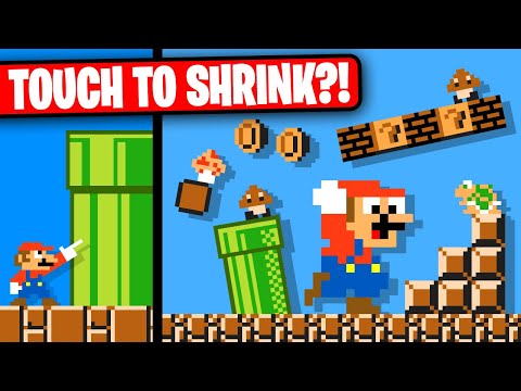 I Made Mario, but Everything YOU Touch Shrinks?!
