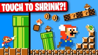 I Made Mario, but Everything YOU Touch Shrinks?!