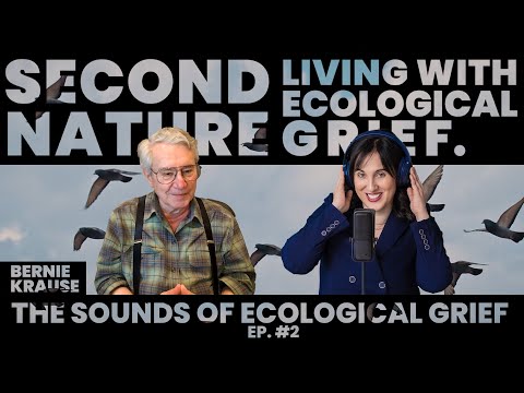 Hearing Ecological Loss: Insights from Soundscape Ecologist Dr. Bernie Krause