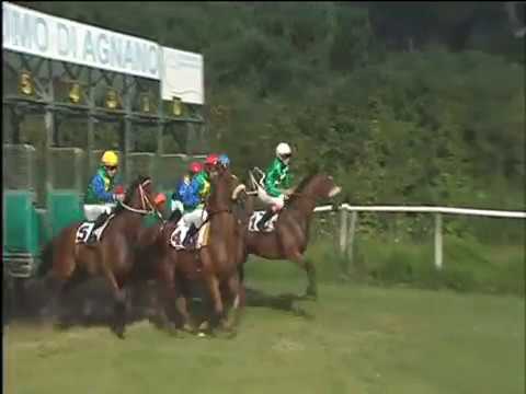 Galoppo 19/07/2017 - 5ª corsa