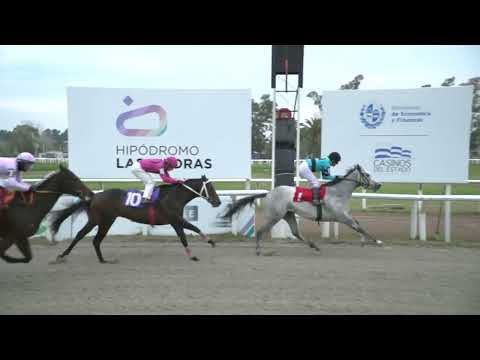 28/05/2022 – Hipodromo Las Piedras – Carr 12 – DOW JONES (2017-2018)