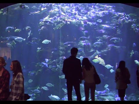 Evening Explorations in Science