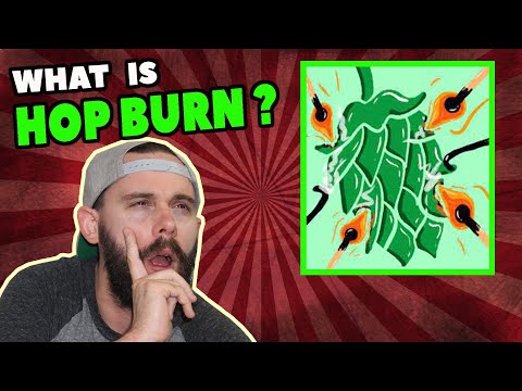 What is HOP BURN? (and how to GET RID of it)