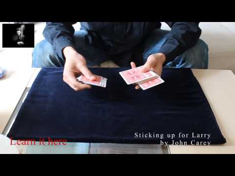 Sticking up for Larry by John Carey - Performance