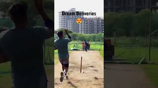 Fast bowler bowling unplayable balls 🙌💯 Tagda Pacer💪 #cricketgraph #shorts #youtubeshorts #cricket