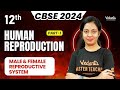 Human Reproduction Part 1 Class 12 CBSE 2024 Nivetha Ma Am