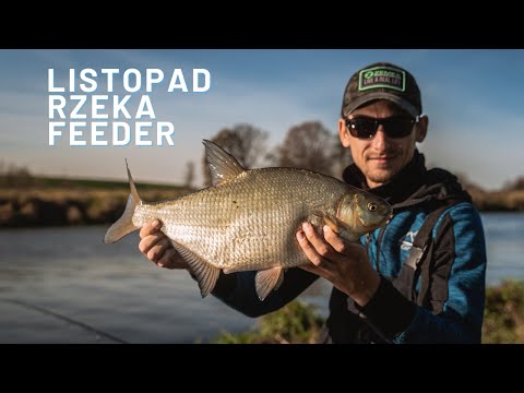 Listopad, rzeka i feeder - polowanie na duże leszcze