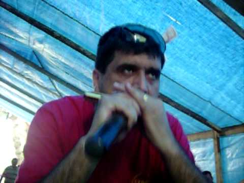 Suvaja Maj 2010 Zare svira usnu harmoniku